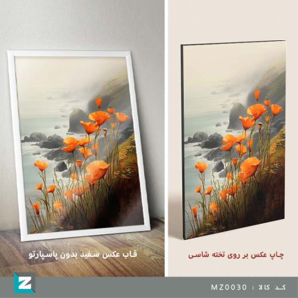 تابلو هنری گلهای شقایق نارنجی کنار صخره ساحلی دریا