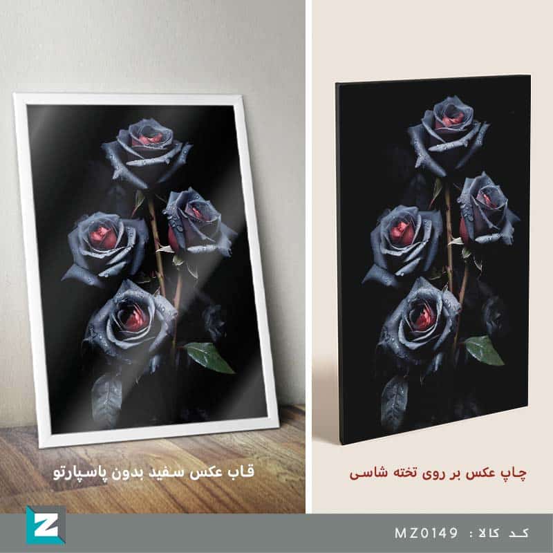 قاب هنری مخصوص دکوراسیون داخلی منزل و اداری با تصویر گلهای رز سیاه
